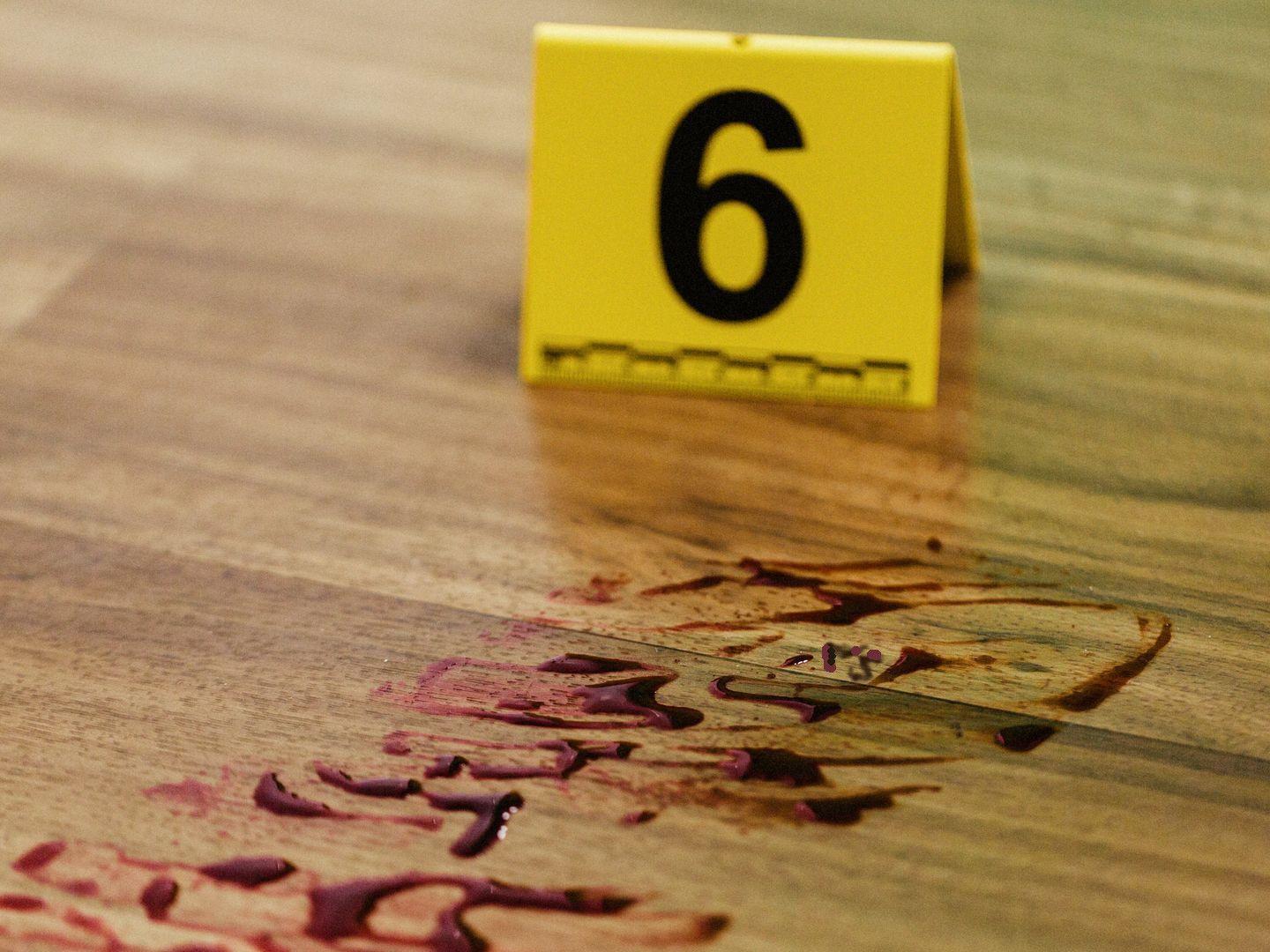 Who Killed Elle River? 2