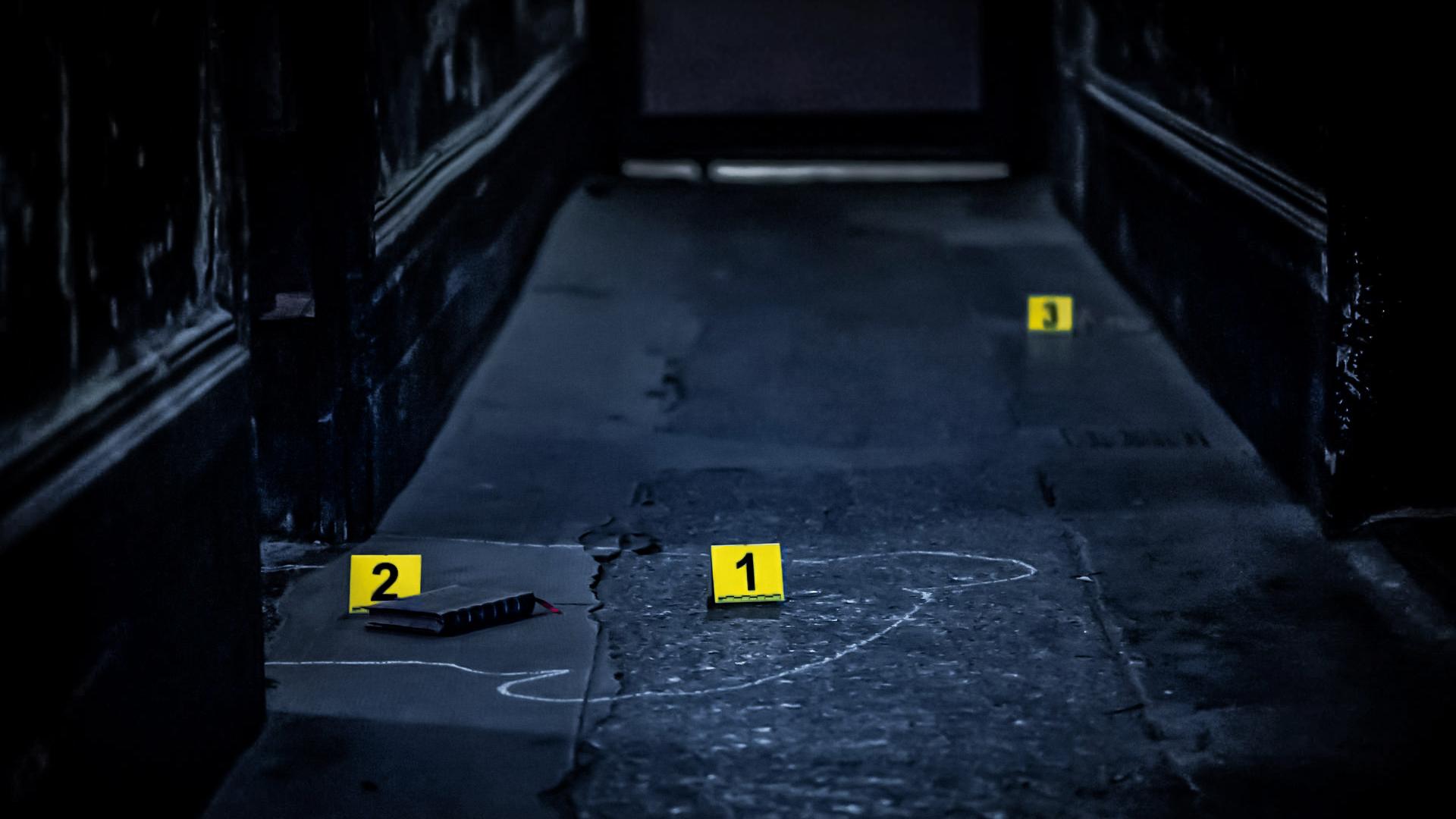 Interactive criminal investigations - French Crime
