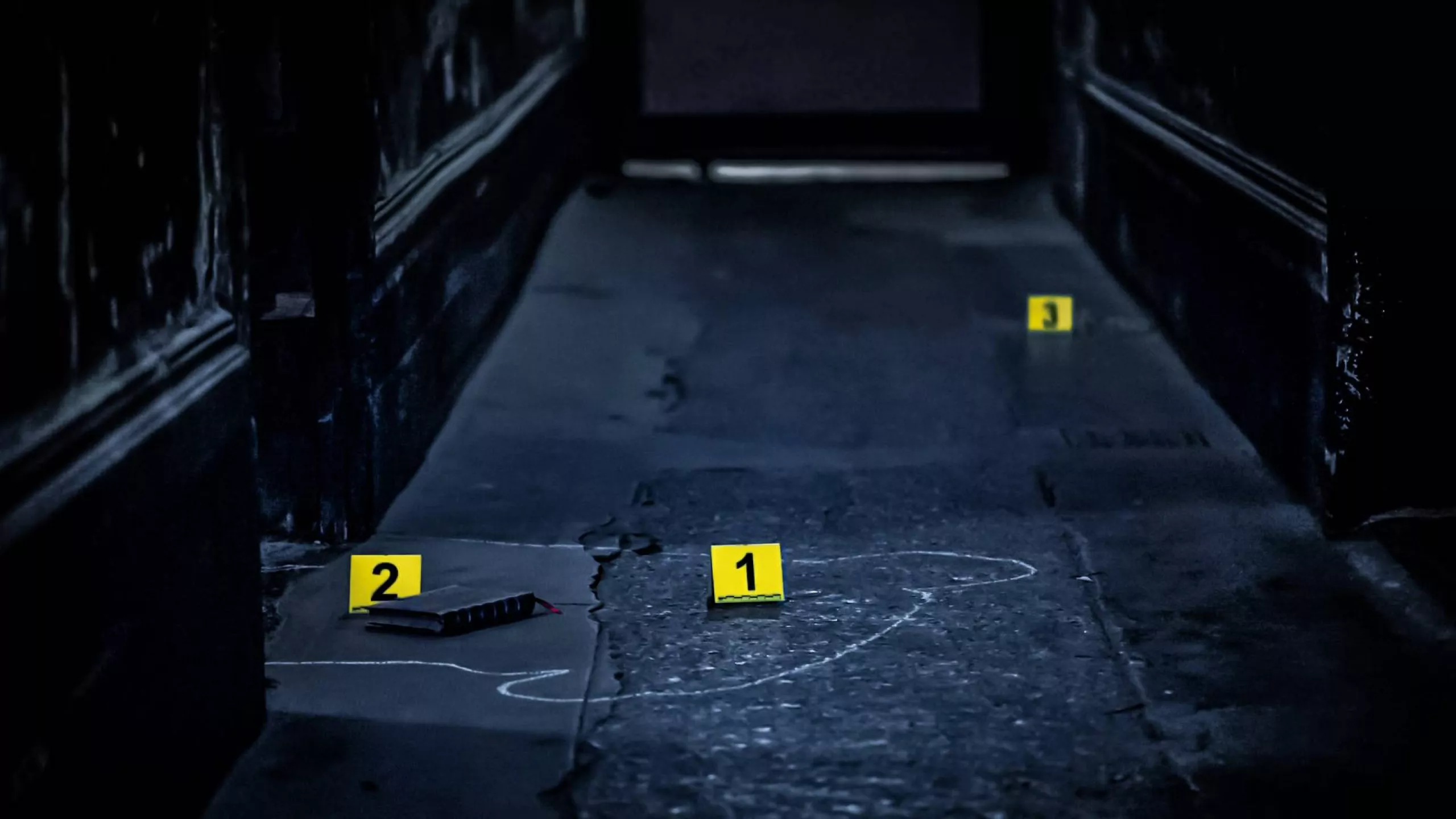 Interactive criminal investigations - French Crime